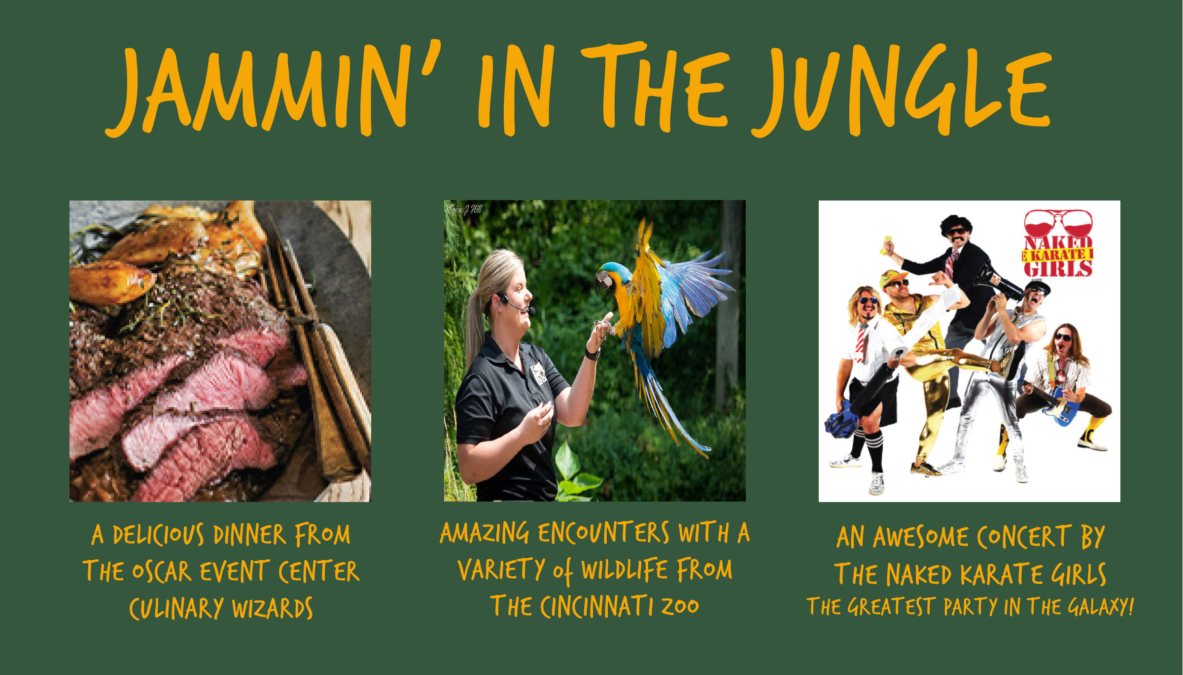 Jammin in the Jungle 3 copy.jpg